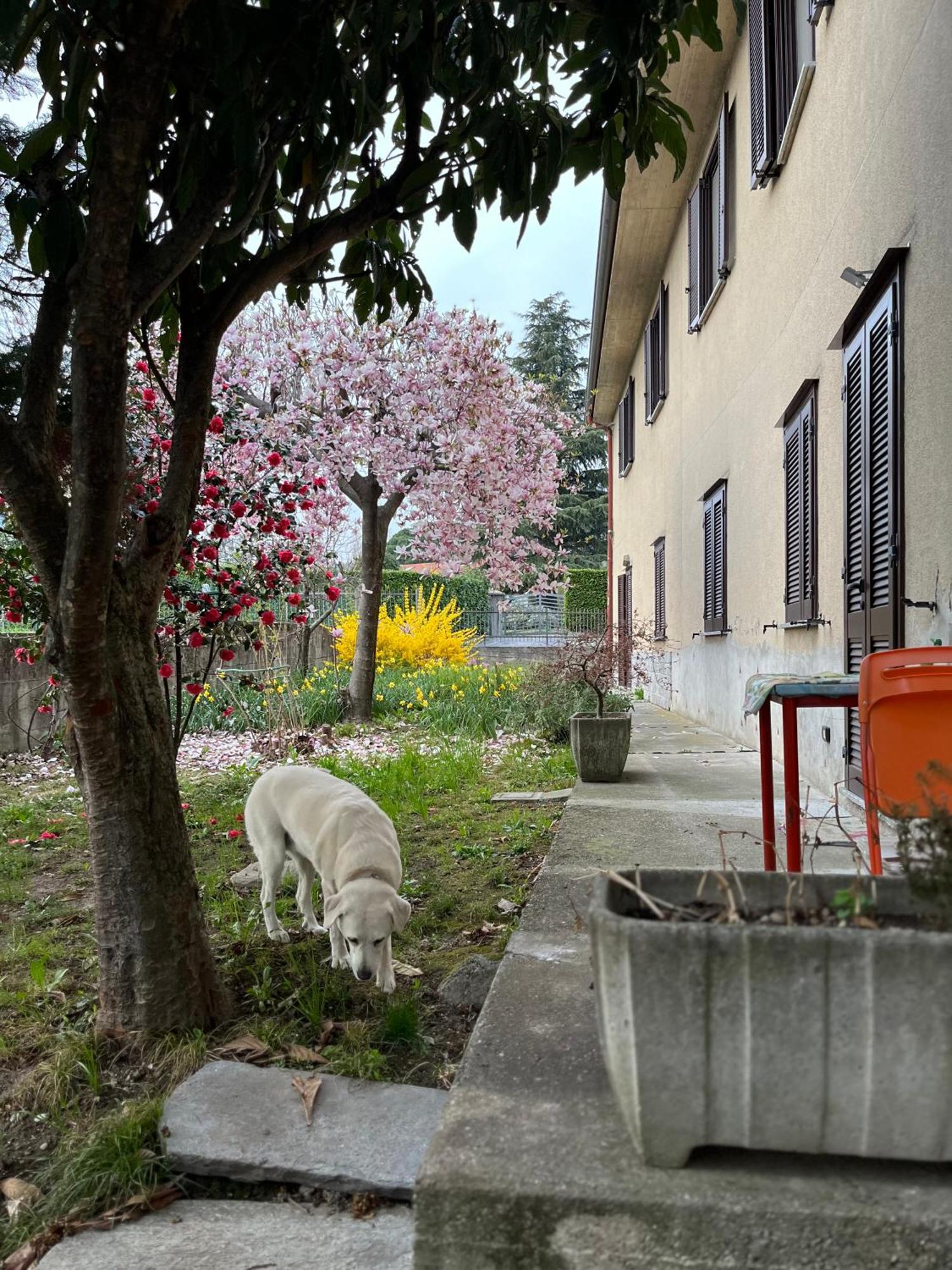 Single Room Il Cortile Como da Manu Maggy&Hope Esterno foto